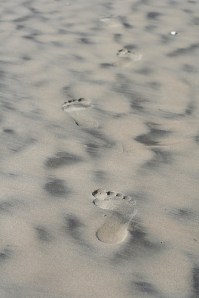 footsteps_sand